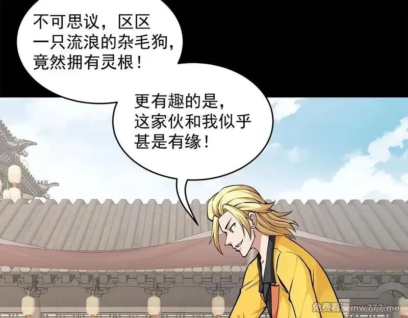 九子,13、怎么可能装看不见！,第12张