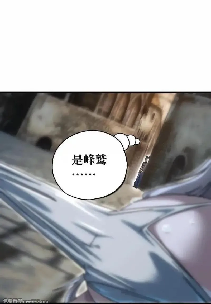 肉搏无敌的不良少年在游戏中却想当奶妈,156 【新特典】叼眼鹫盗贼团团长峰鹫,第20张