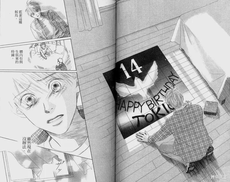伊甸之花,VOL12,第85张